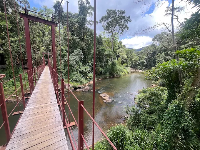 Galle to Sinharaja Rain Forest