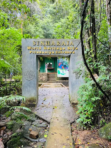 Sinharaja Rain Forest Sri Lanka Ticket Price