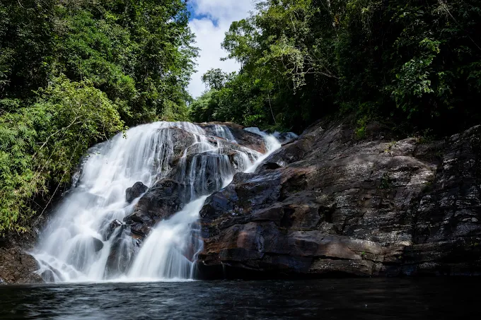 Sinharaja Rain Forest Sri Lanka Ticket Price