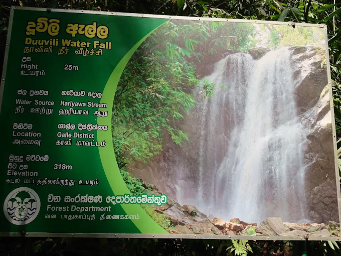 Sinharaja Rain Forest History