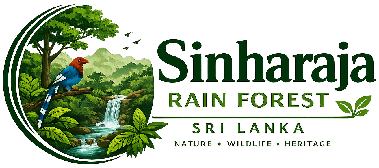 sinharaja rain forest sri lanka