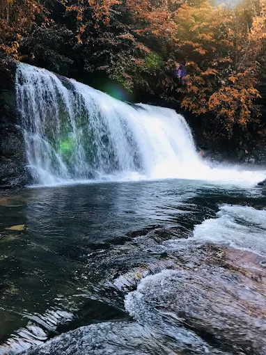 Sinharaja Waterfall Hunting Tour