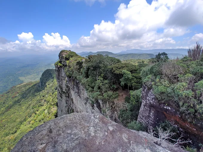 Sinharaja Rain Forest Trekking Experience
