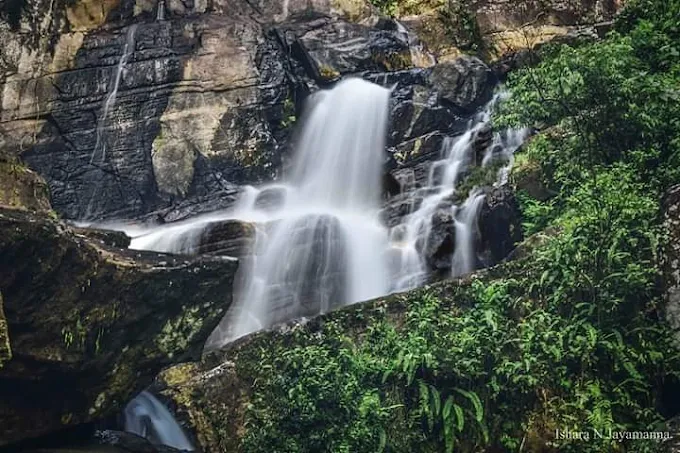 Sinharaja Rainforest Discovery Tour